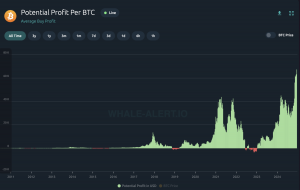 Bitcoin Investors Are Now Up $67,000 On Average – And This Is  Just The Start