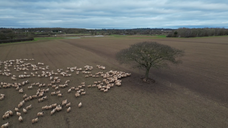 In a time of change Sky News spent a critical year on a farm – find out what we learnt | Money News