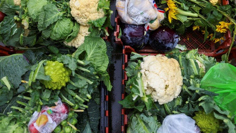 Charities, food banks and homeless shelters to get £15m food redistribution fund to save surplus farm food | UK News