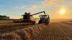 How climate change and red tape could be jeopardising UK access to affordable food | Money News