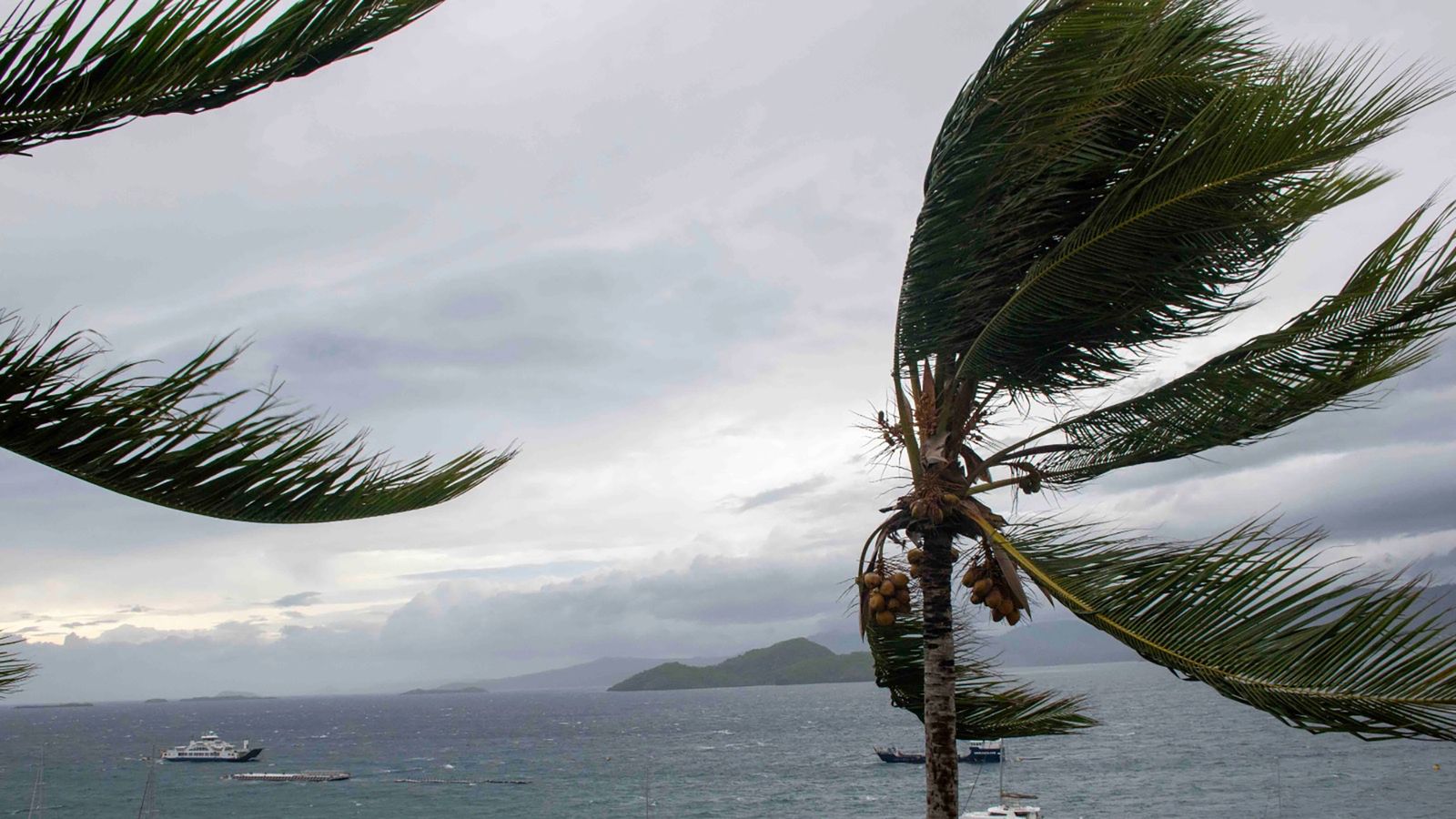 This photo provided Sunday Dec.15, 2024 by the French Army shows palm tress during strong winds in the French territory of Mayotte in the Indian Ocean, after Cyclone Chido caused extensive damage with reports of several fatalities, Saturday Dec.14, 2024. (Etat Major des Arm..es via AP)