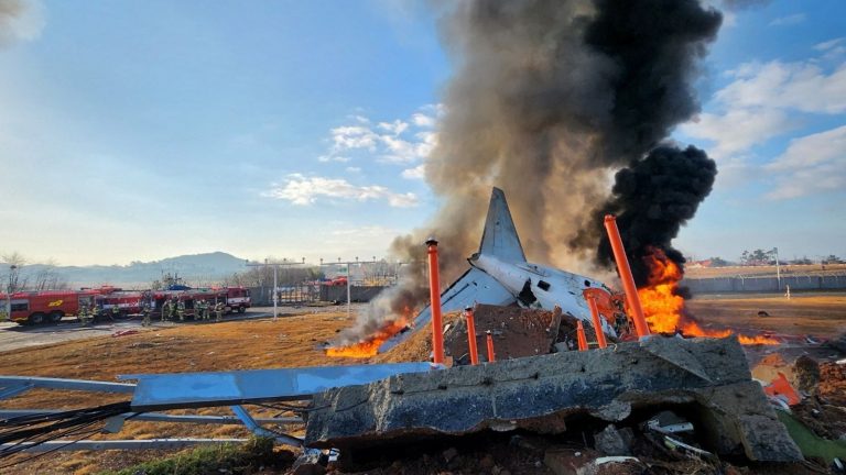 South Korea: Expert says concrete wall plane crashed into is ‘verging on criminal’ | World News