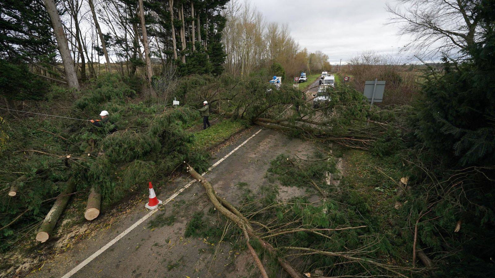 Fallen trees in Swainshill, Herefordshire. Pic: PA