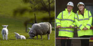 Farmers face another blow as Labour ‘grey belt’ policy ‘puts farms near cities at risk’