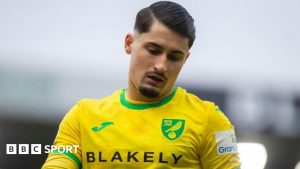 Borja Sainz: Norwich City top scorer banned for six matches for spitting