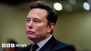 Welsh Refugee Council staff ‘harassed’ after Musk shares X post