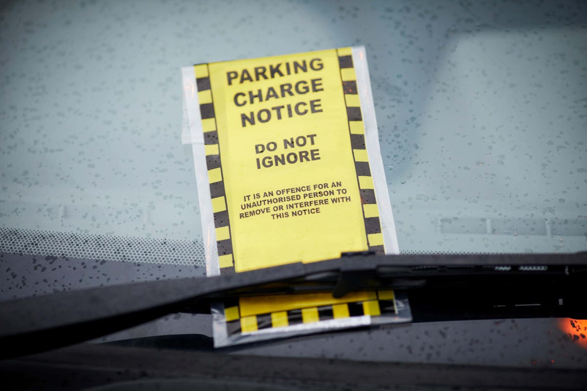 New rule to help drivers avoid harsh parking fines under consideration