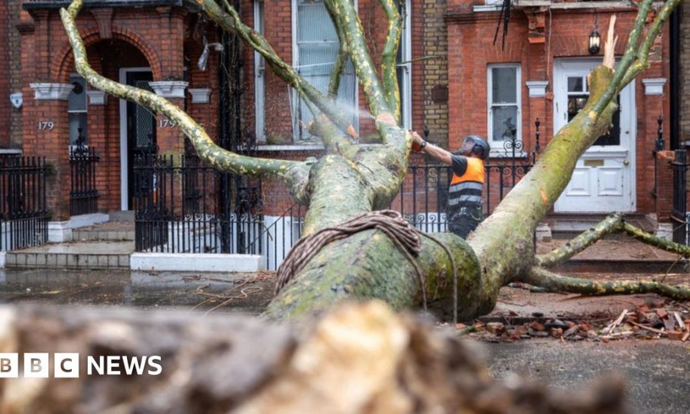 What are my rights if home and travel are hit by storms?