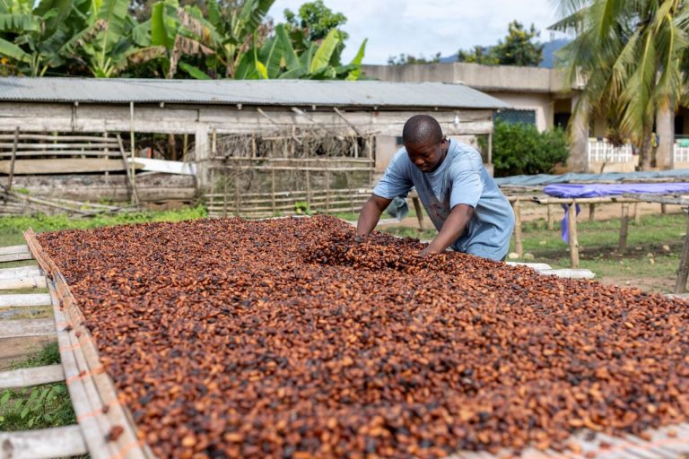 Cocoa Ends 2024 With Huge Gains Amid Supply Fears and Thin Trade