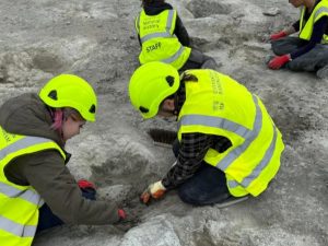 UK’s largest ever dinosaur footprint site unearthed in Oxfordshire