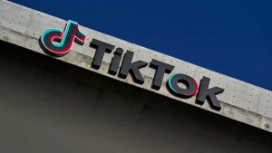 TikTok's Growing Advertising Base