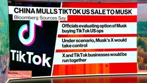 China Considering Sale of TikTok US to Elon Musk