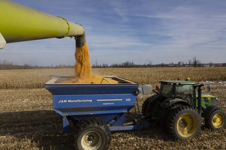 Bunge’s $8 Billion Deal for Viterra Wins Approval From Canada