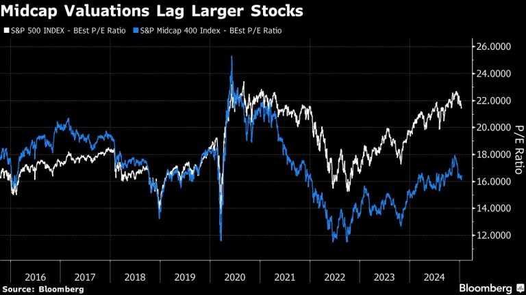 US Midcap Stocks Are Top Bets to Own Now, Goldman’s Kostin Says