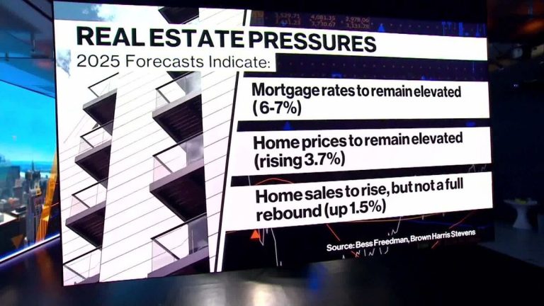 Real Estate Environment Feels ‘Frothy’: Freedman