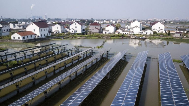 Chinese Solar Stocks Fall After Gloomy Initial Results for 2024