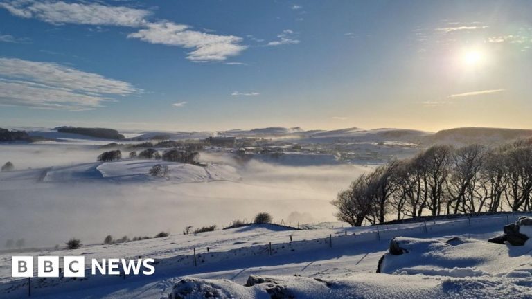 Your pictures of snow and frost across the UK