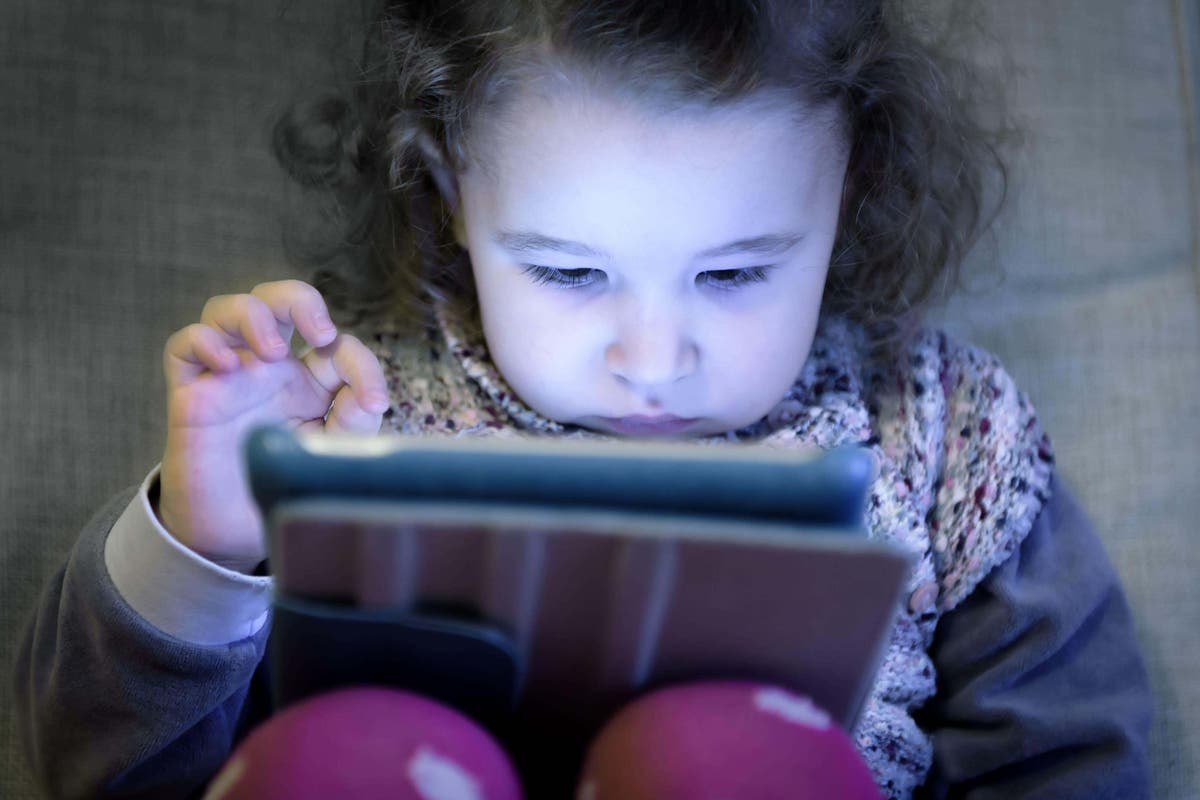 Children ‘no match’ for Silicon Valley billions, peer says in online safety plea