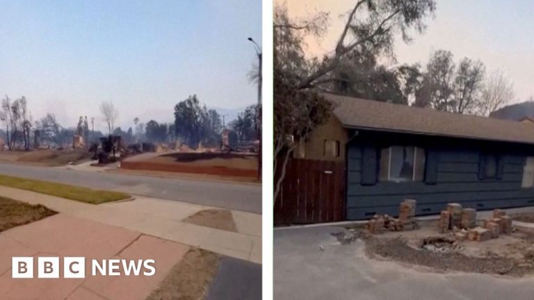 Altadena resident finds home untouched by fire in LA