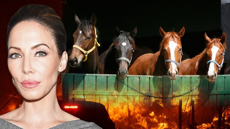 L.A. Wildfires Threatening Horses, Whitney Cummings Helping Evacuate Animals