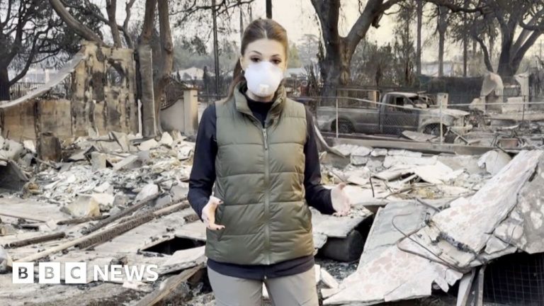 BBC reporter assesses destruction by Eaton fire in Altadena