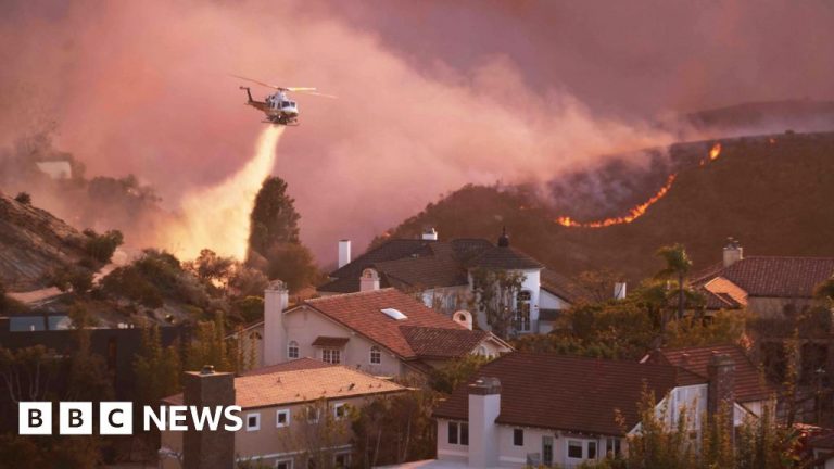 Palisades fire burns homes as thousands evacuate in LA