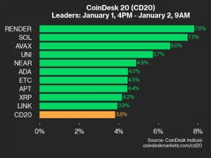 9am CoinDesk 20 Update for 2025-01-02: leaders chart