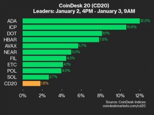 9am CoinDesk 20 Update for 2025-01-03: leaders chart