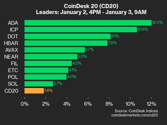 9am CoinDesk 20 Update for 2025-01-03: leaders chart