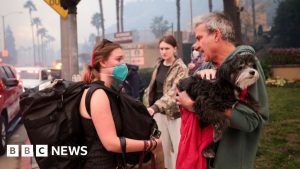 Palisades residents describe flight from LA wildfire inferno