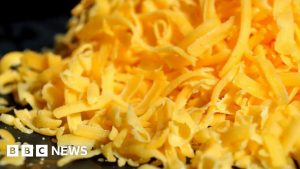 Melton Mowbray: Secretary can sue over mouldy cheese claim