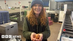 ‘One-in-a-billion’ round egg discovered in Devon