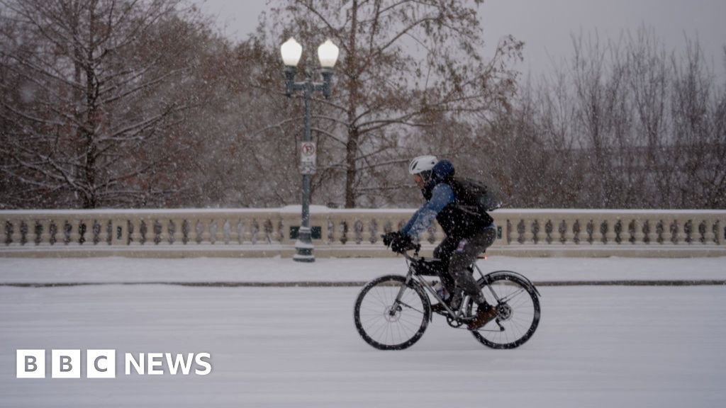 Rare snowstorm hits US south forcing mass flight cancellations