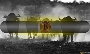 Bitcoin's (BTC) Bull Market Remains Intact Amid Temporary Slowdown: CQ