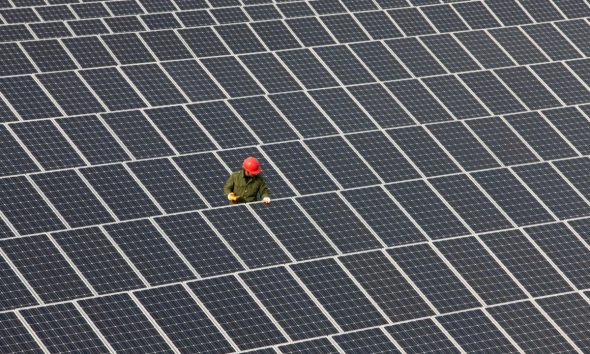 Man inspecting solar panels.