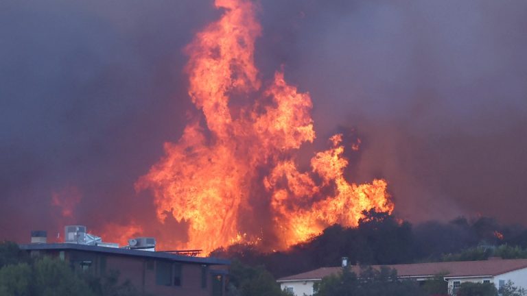 Filmmaker Who Produced Ron Howard’s ‘Rebuilding Paradise’ Says Her House and Work All Burned Down in the Palisades Fire