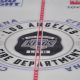 L.A. Kings Hosting Celebrity Hockey Game to Benefit Wildfire Victims 