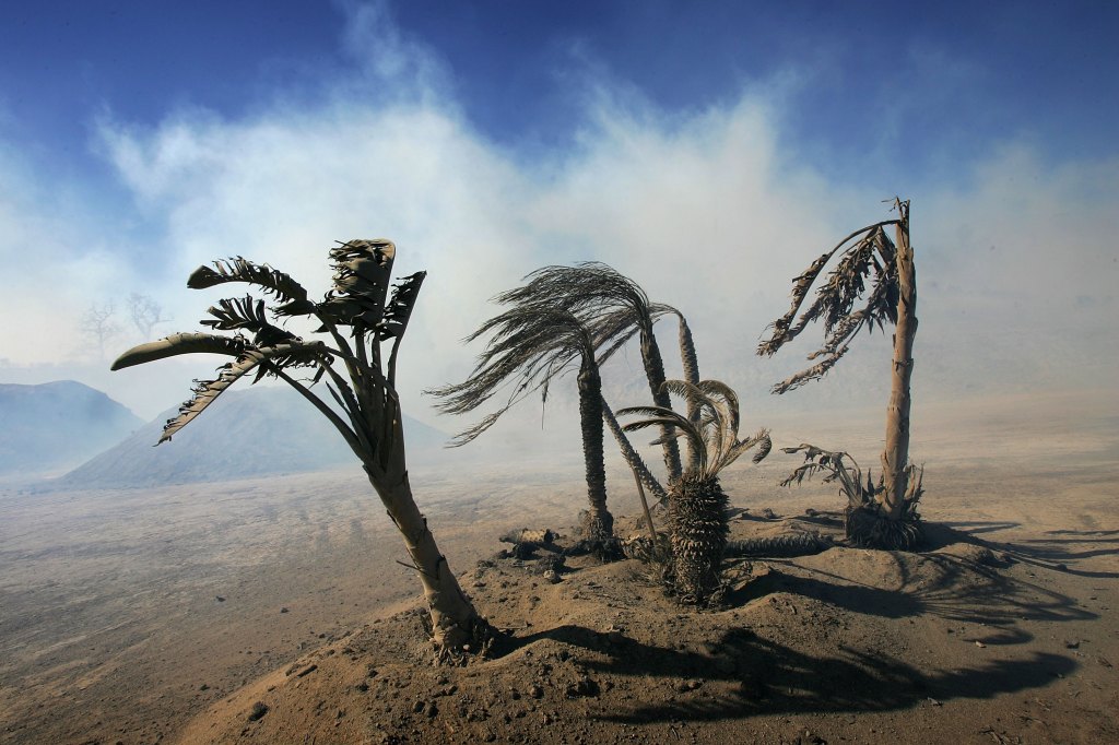 Los Angeles Braces For Another Santa Ana Event With Gusts To 100 MPH