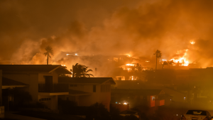 The Palisades Fire burns homes amid a powerful windstorm on Jan. 8, 2025, in the Pacific Palisades neighborhood of Los Angeles, California.