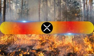 Ripple Donates $100K in XRP for California Wildfire Relief Efforts