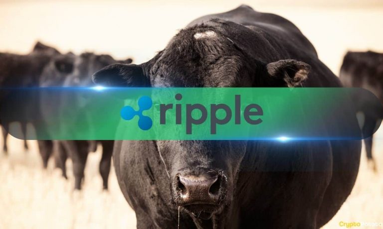 XRP’s 7-Year High Came Amid Record Spike in High-Value Transactions and Holder Growth