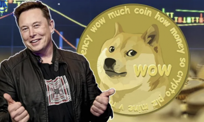 Dogecoin (DOGE) Enthusiasts Earn $8,000 a Day Through Cloud Mining