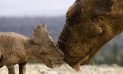 BBC Provides 'Walking With Dinosaurs' Revival First-Look Images