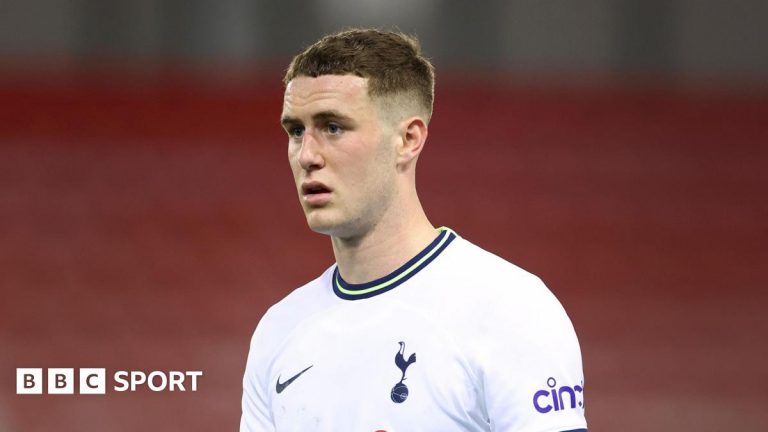 Tottenham Hotspur defender Alfie Dorrington joins Aberdeen on loan