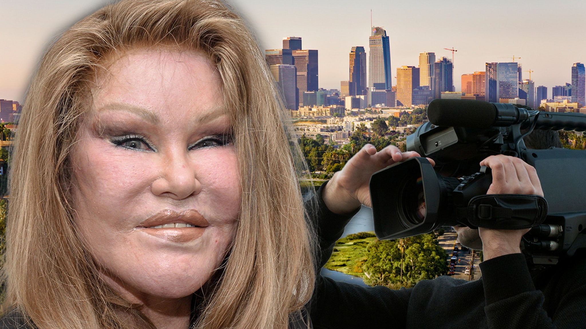 'Catwoman' Jocelyn Wildenstein Filmed Reality Show Before Death