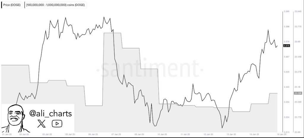 Dogecoin Bulls Eye $3 As Whales Scoop 200 Million DOGE In The Last 2 Days