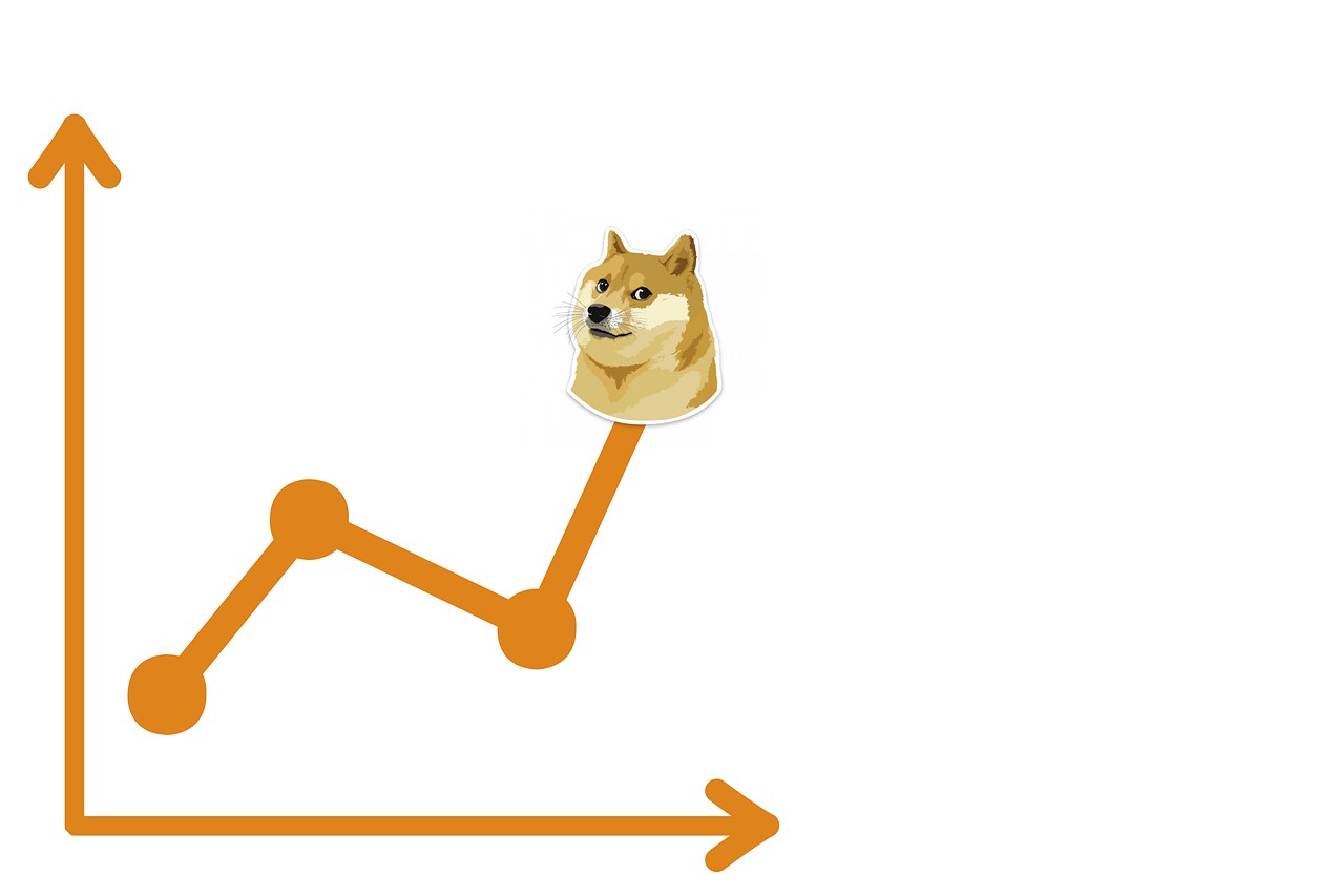 Dogecoin To Hit $1? Expert Calls It A Realistic Goal For 2025