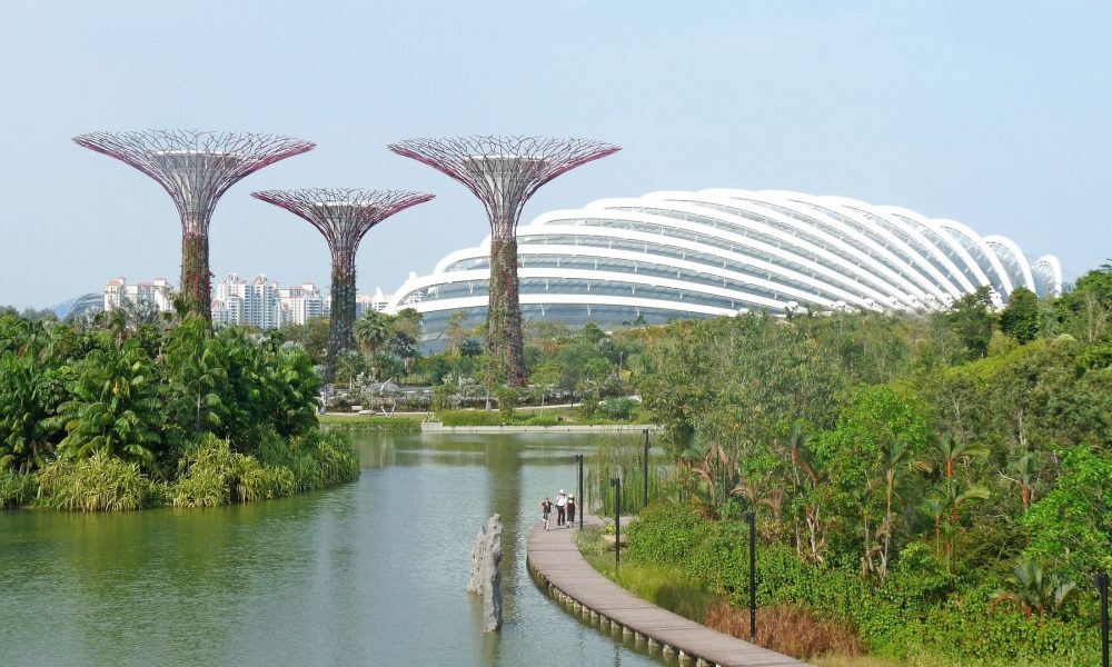 Singapore, view of Marina Bay with Gardens By The Bay manmade trees in the background (SoleneC1/Pixabay)