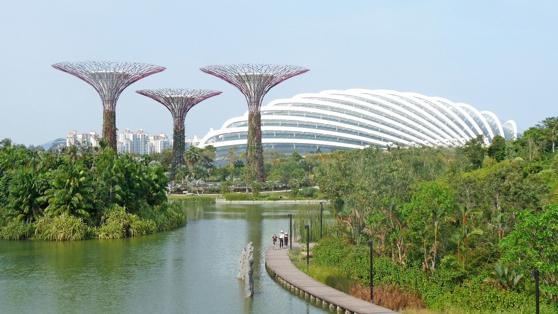 Singapore, view of Marina Bay with Gardens By The Bay manmade trees in the background (SoleneC1/Pixabay)