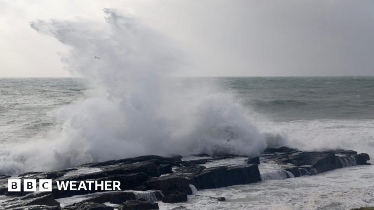 UK weather: Wind warning issued ahead of possible storm this week